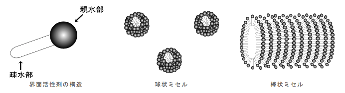 界面活性剤の構造・球状ミセル・棒状ミセル